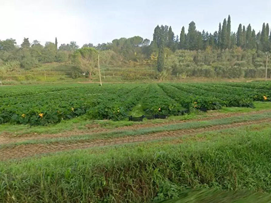 appartamento in vendita a Casciana Terme Lari