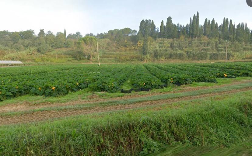 appartamento in vendita a Casciana Terme Lari