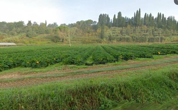 appartamento in vendita a Casciana Terme Lari