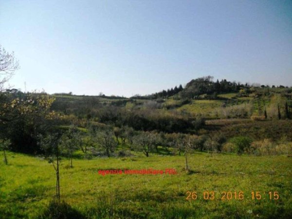 terreno agricolo in vendita a Casciana Terme Lari