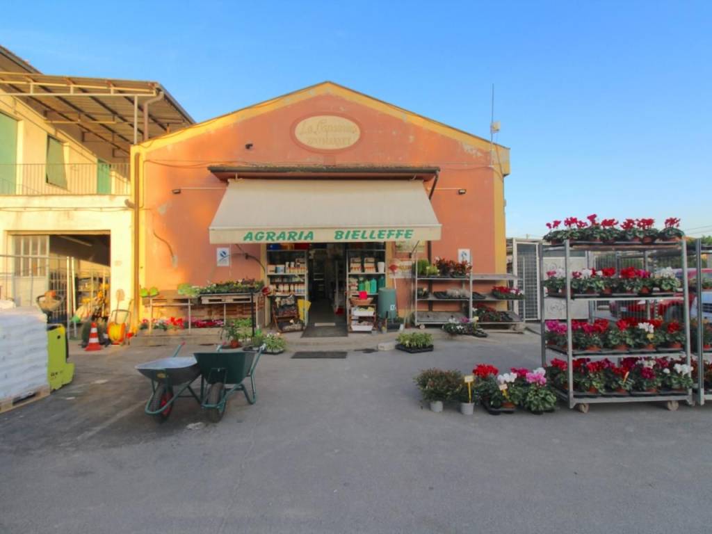 negozio in vendita a Casciana Terme Lari in zona La Capannina