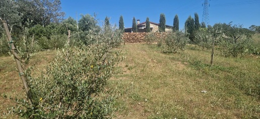 casa indipendente in vendita a Casciana Terme Lari in zona Perignano