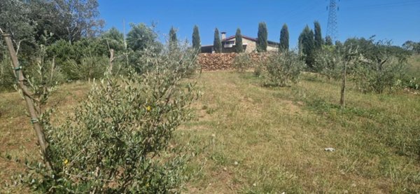 casa indipendente in vendita a Casciana Terme Lari in zona Perignano