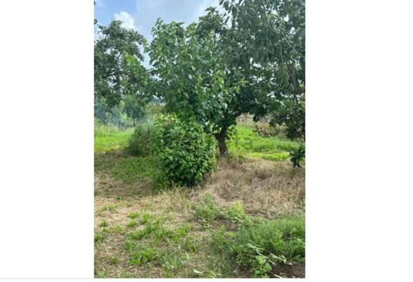 appartamento in vendita a Casciana Terme Lari