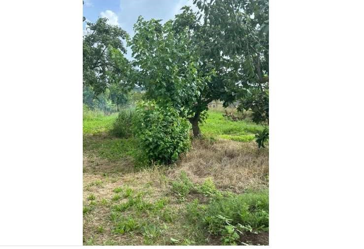 appartamento in vendita a Casciana Terme Lari