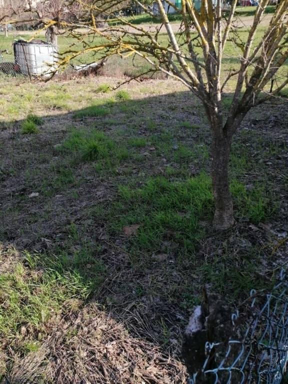 casa indipendente in vendita a Casciana Terme Lari in zona Perignano