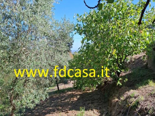 terreno agricolo in vendita a Casciana Terme Lari in zona Collemontanino