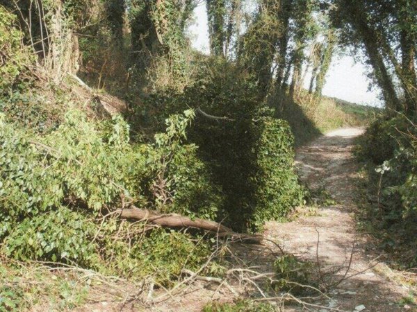 terreno agricolo in vendita a Casciana Terme Lari in zona Lari