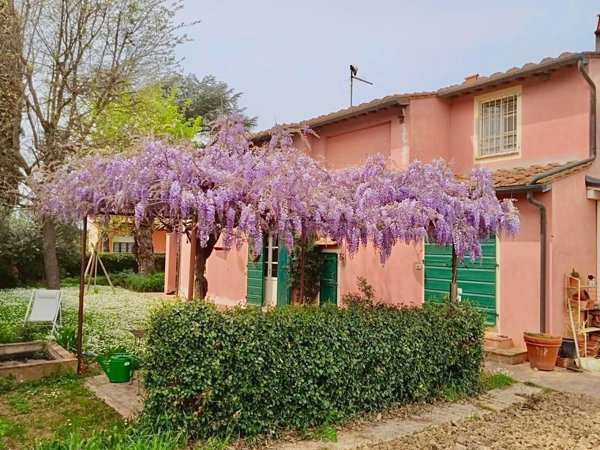 casa indipendente in vendita a Casciana Terme Lari in zona Lari