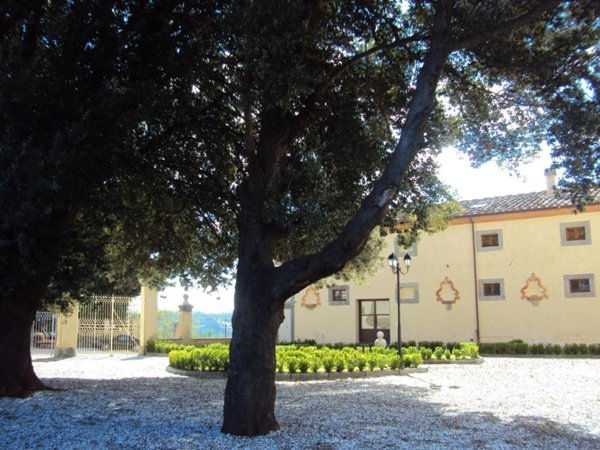 casa indipendente in vendita a Casciana Terme Lari in zona Lari