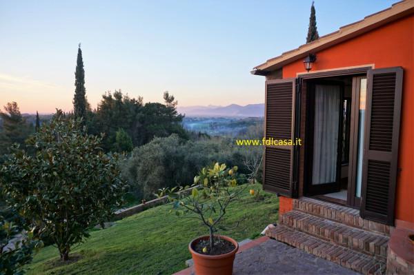 casa indipendente in vendita a Casciana Terme Lari in zona Usigliano