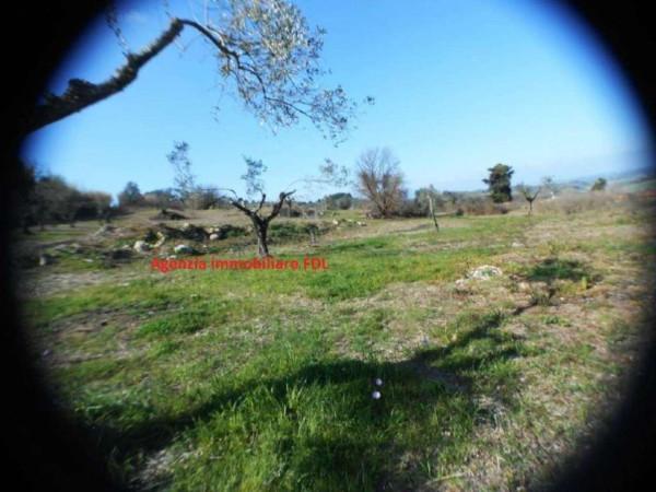 negozio in vendita a Casciana Terme Lari