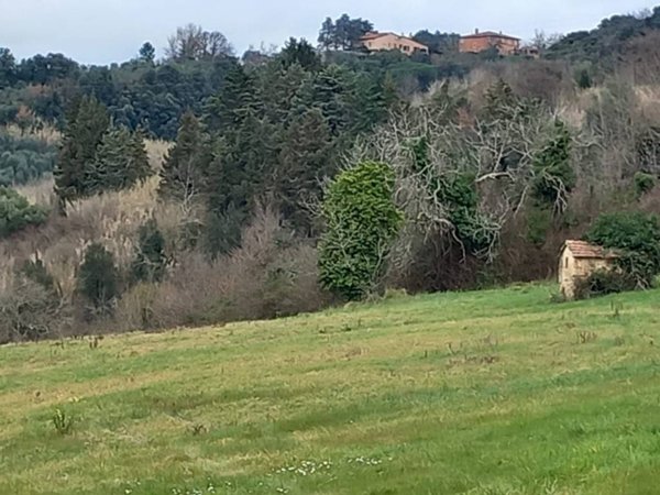 terreno agricolo in vendita a Casciana Terme Lari in zona Lari