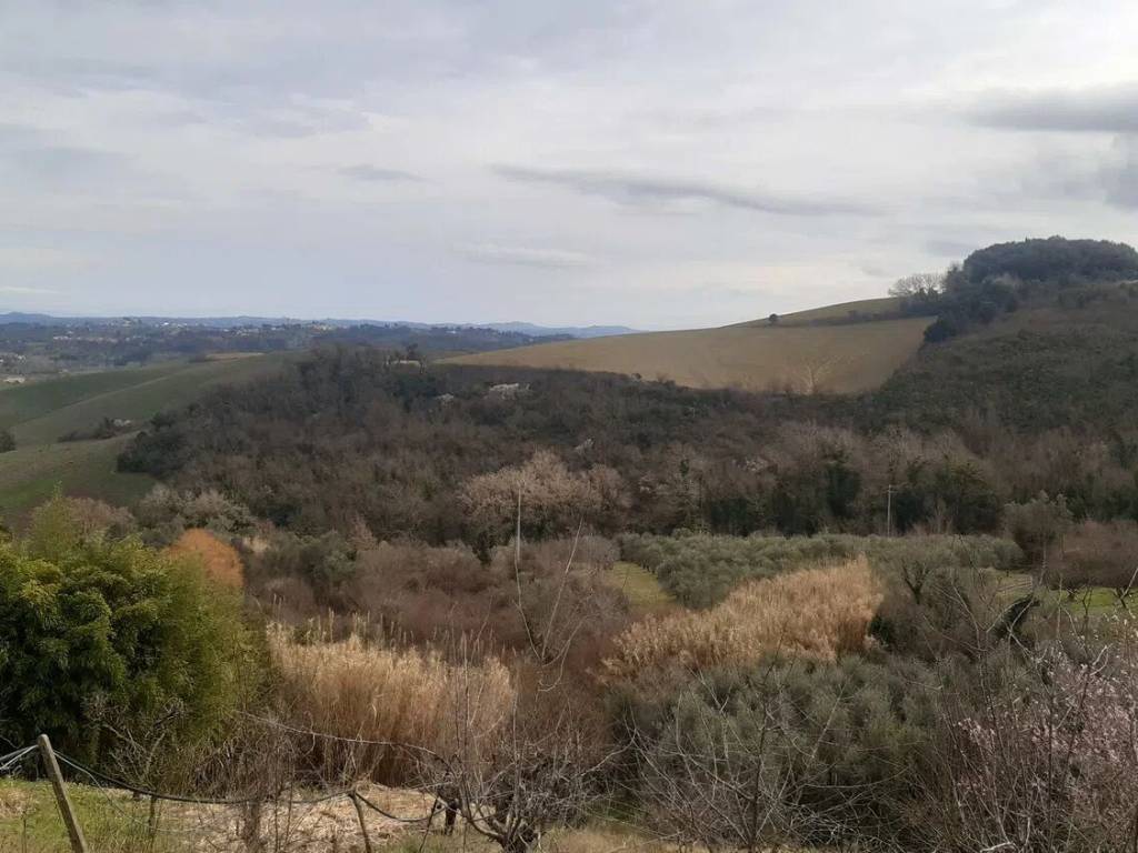 terreno agricolo in vendita a Casciana Terme Lari in zona Casciana Alta