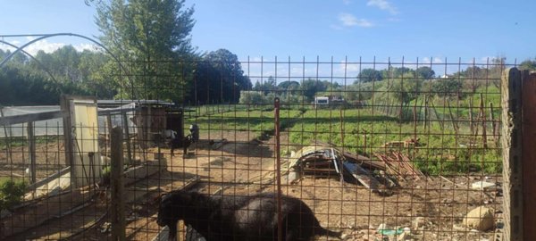 terreno agricolo in vendita a Casciana Terme Lari in zona Perignano
