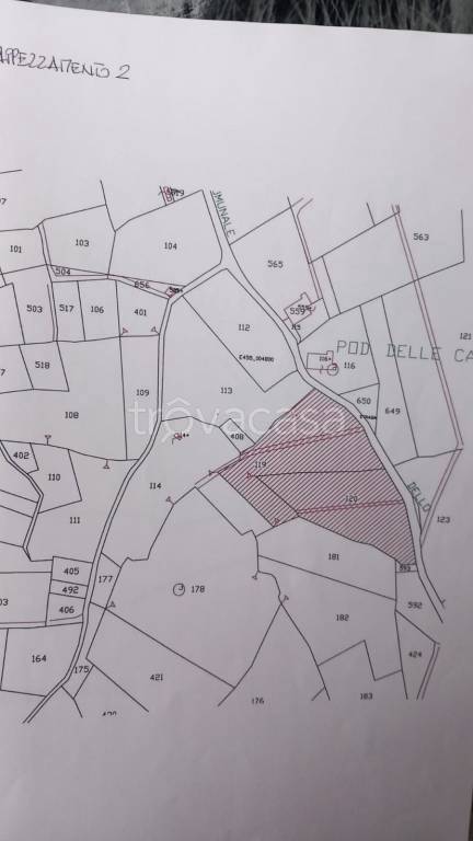 terreno agricolo in vendita a Casciana Terme Lari