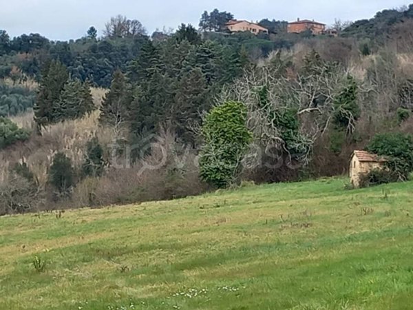 terreno agricolo in vendita a Casciana Terme Lari