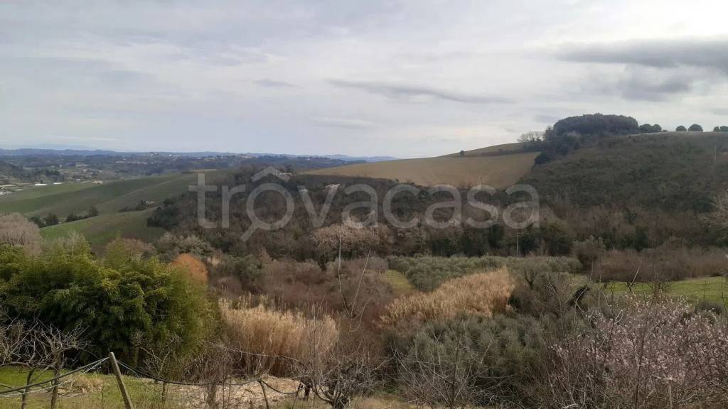 azienda agricola in vendita a Casciana Terme Lari in zona Casciana Terme