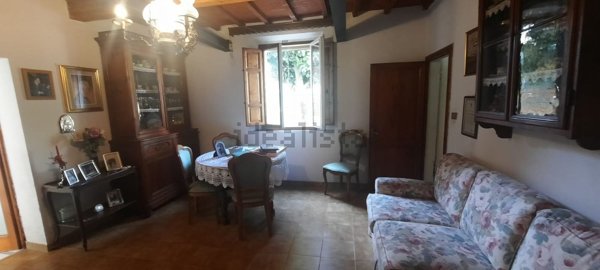 esavano in vendita a Casciana Terme Lari in zona Lari