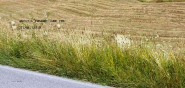 terreno agricolo in vendita a Casciana Terme Lari
