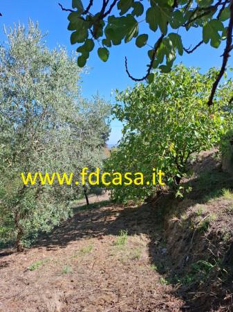 terreno agricolo in vendita a Casciana Terme Lari