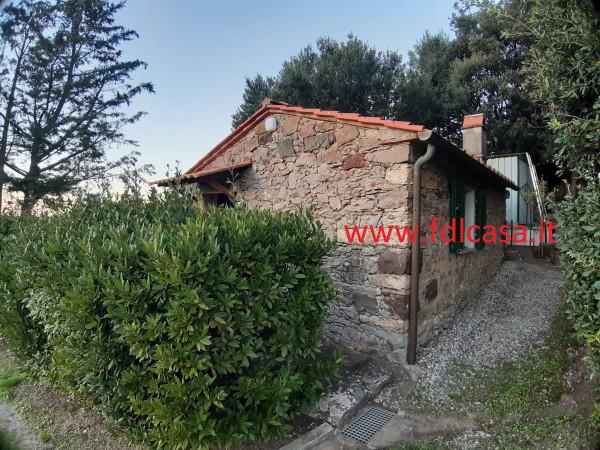 terreno agricolo in vendita a Casciana Terme Lari