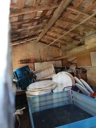 terreno agricolo in vendita a Casciana Terme Lari