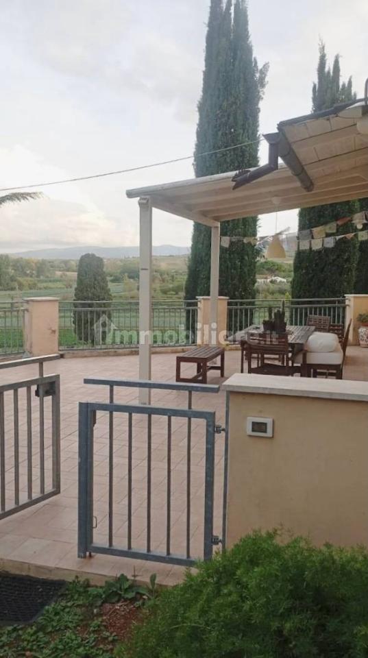 immagine annuncio 0 di 15