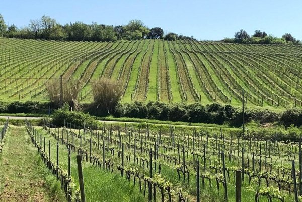 villa in vendita a Casciana Terme Lari in zona Casciana Terme