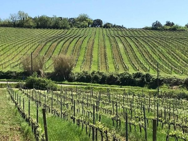 villa in vendita a Casciana Terme Lari in zona Casciana Terme