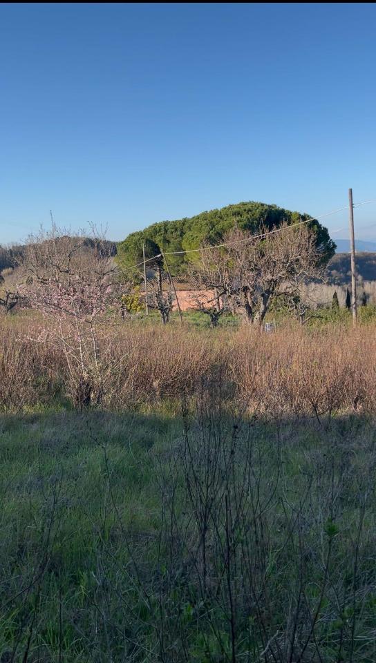 terreno agricolo in vendita a Casciana Terme Lari