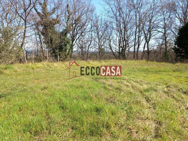 terreno agricolo in vendita a Casciana Terme Lari in zona Lari