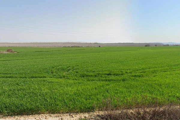 negozio in vendita a Casciana Terme Lari