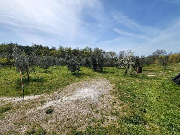 terreno agricolo in vendita a Casciana Terme Lari in zona Perignano