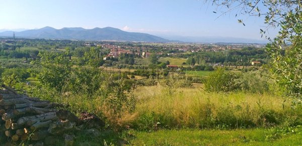 terreno agricolo in vendita a Casciana Terme Lari in zona Lari
