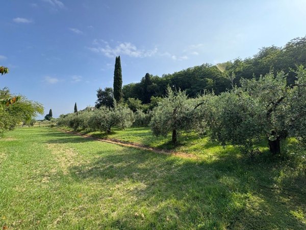 terreno agricolo in vendita a Casciana Terme Lari