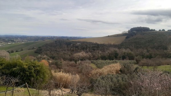 terreno agricolo in vendita a Casciana Terme Lari in zona Casciana Terme