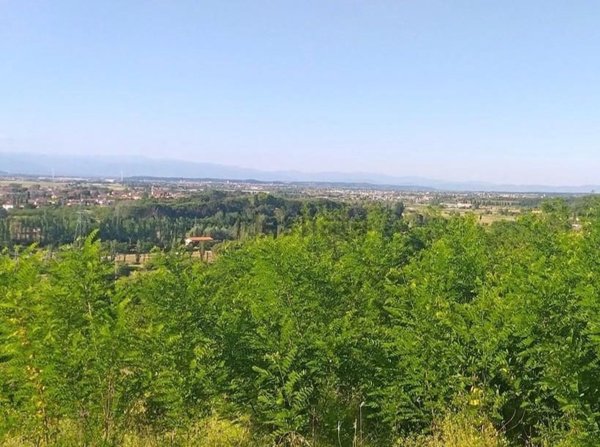 terreno agricolo in vendita a Casciana Terme Lari in zona Lari