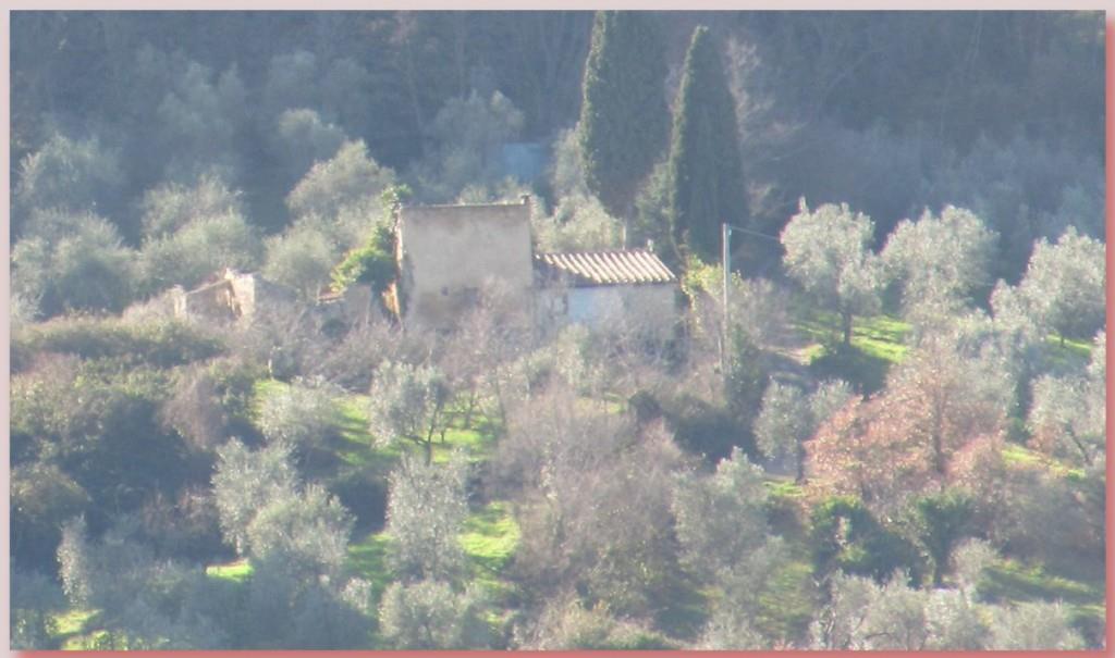 casa indipendente in vendita a Casciana Terme Lari in zona Collemontanino
