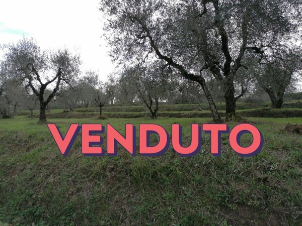 terreno agricolo in vendita a Casciana Terme Lari in zona Orceto