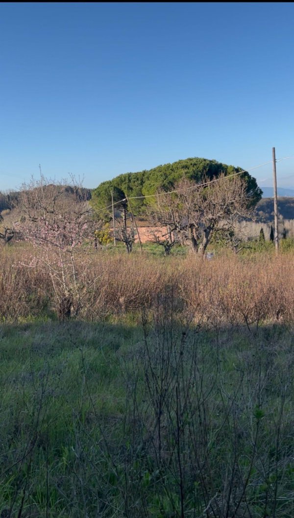 terreno agricolo in vendita a Casciana Terme Lari