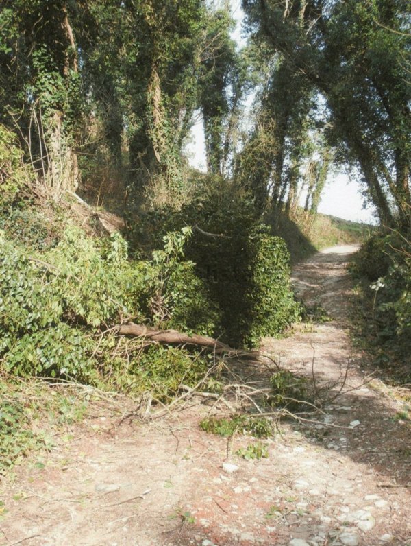 terreno agricolo in vendita a Casciana Terme Lari in zona Lari
