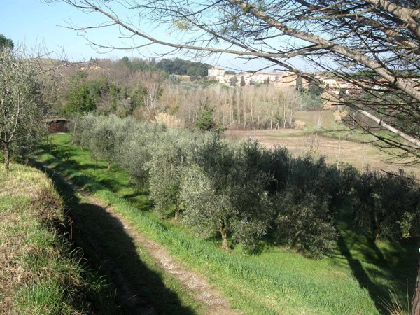 rudere in vendita a Casciana Terme Lari