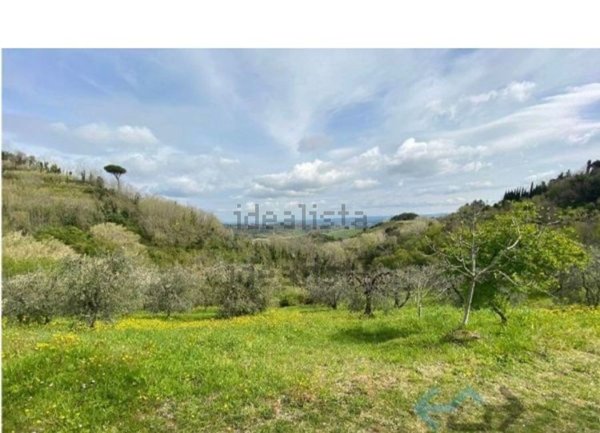 terreno agricolo in vendita a Casciana Terme Lari