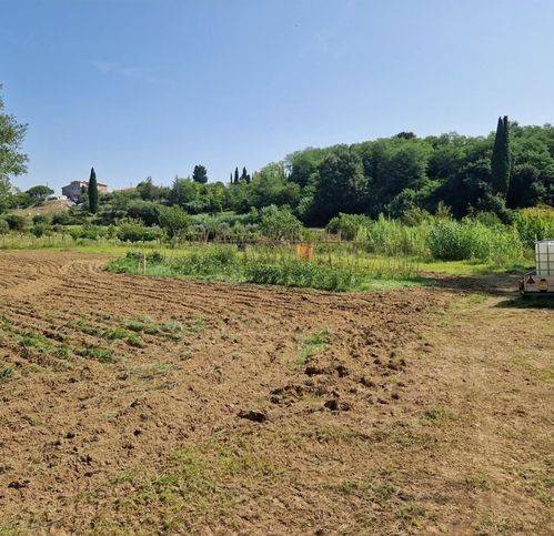 terreno agricolo in vendita a Casciana Terme Lari in zona Lari