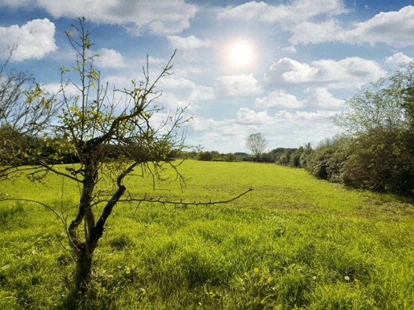 terreno agricolo in vendita a Casciana Terme Lari in zona Perignano