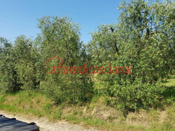 terreno agricolo in vendita a Casciana Terme Lari in zona Casciana Terme