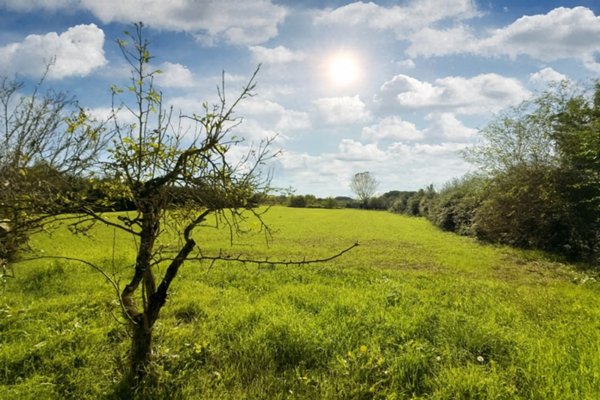 terreno agricolo in vendita a Casciana Terme Lari in zona Perignano