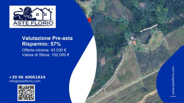 terreno agricolo in vendita a Casciana Terme Lari