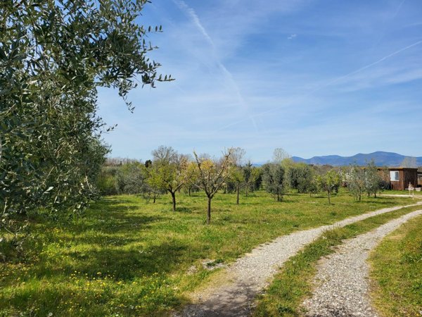 terreno agricolo in vendita a Casciana Terme Lari in zona Perignano
